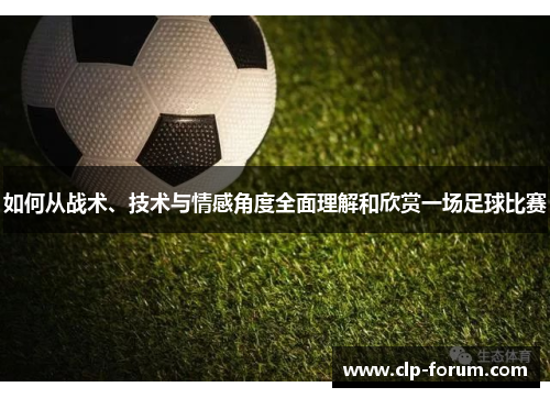 如何从战术、技术与情感角度全面理解和欣赏一场足球比赛